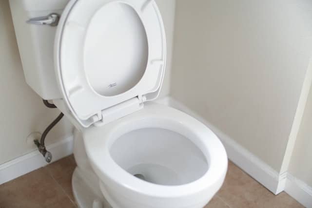 A picture of a toilet 