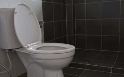 When Was Indoor Plumbing Invented? (History Of Plumbing)