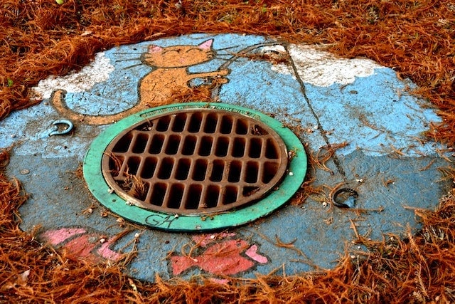 A manhole in the midst of leaves