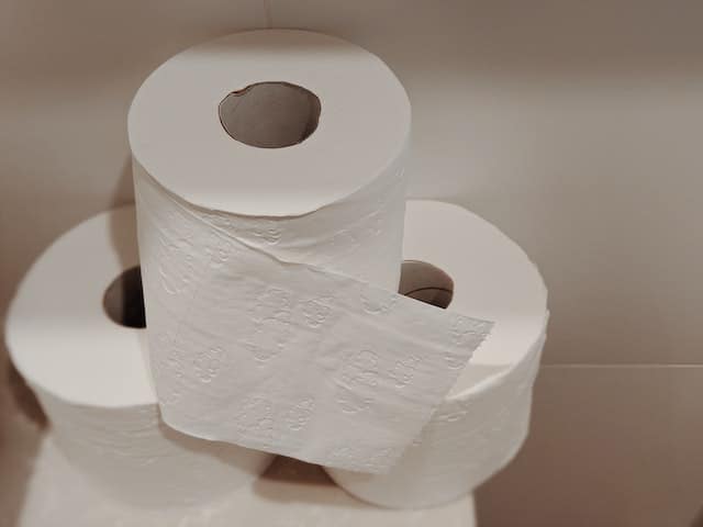 A bunch of toilet paper