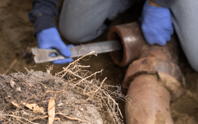 How To Unclog Main Sewer Line Without A Cleaning Snake