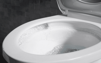 What Is A Kohler Self-Cleaning Toilet?