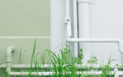 Do You Need Sewer Line Repair Services?