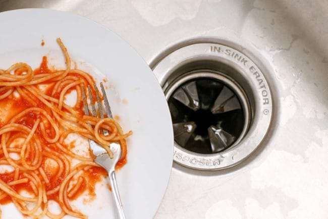 What Should You Never Put In A Garbage Disposal?