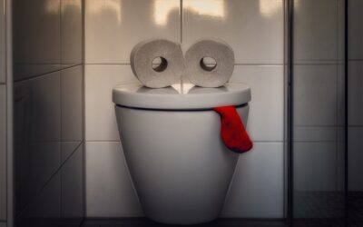 Liquid Plumber for Toilets – Is it Really Safe?