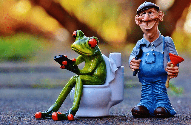 Plumber with frog