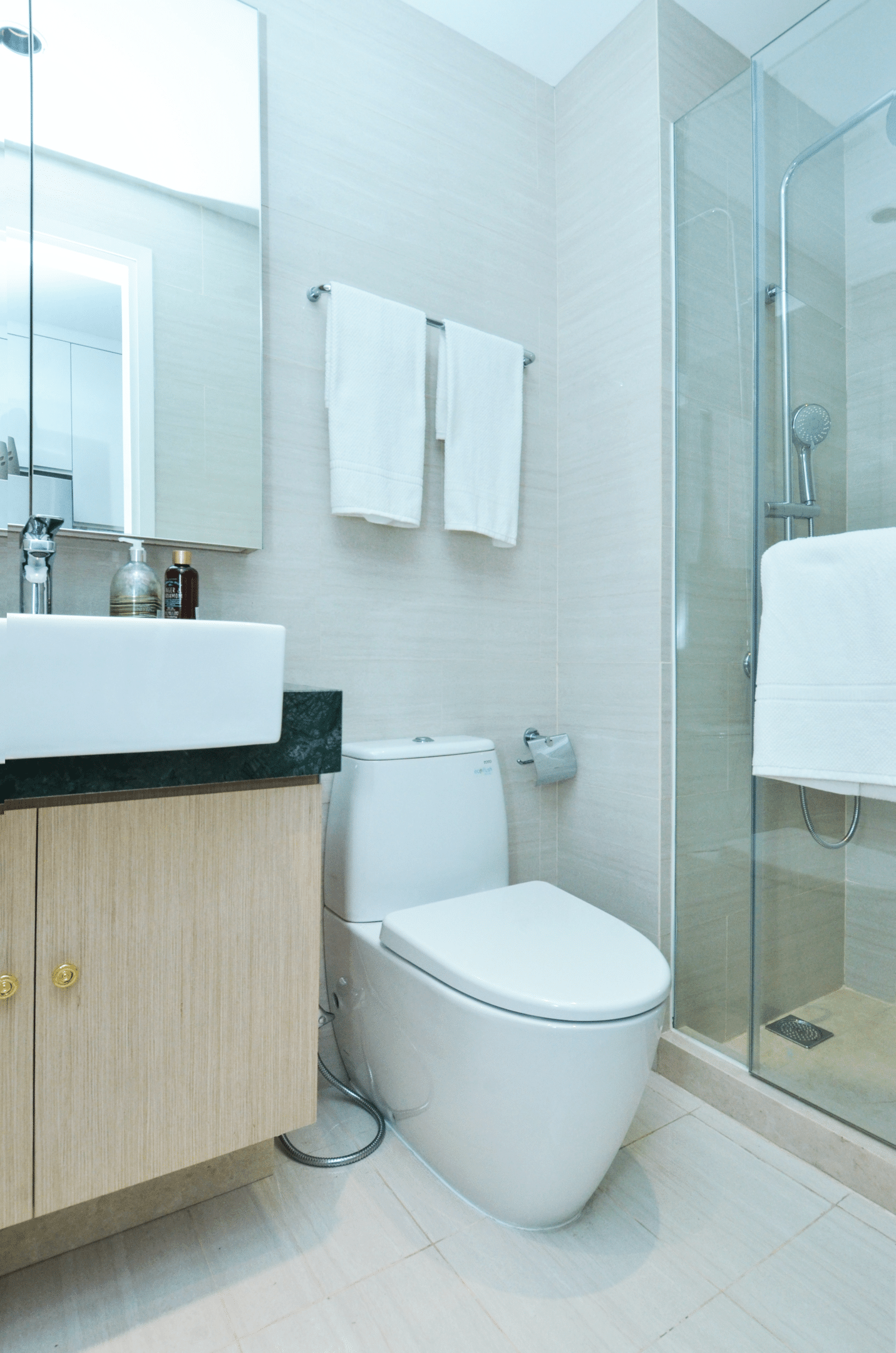 toilet bowl, shower, bathroom