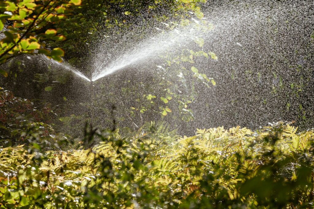 water falling on green grass