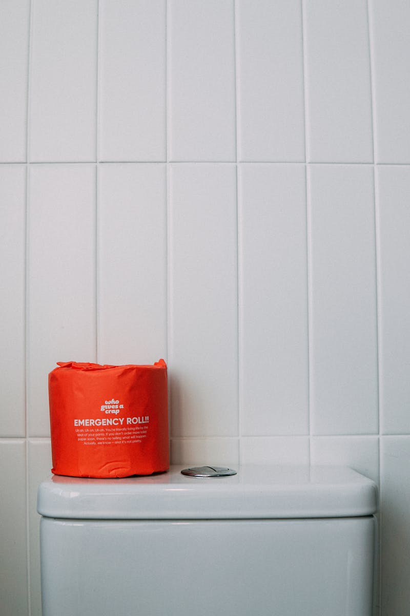 self cleaning toilet