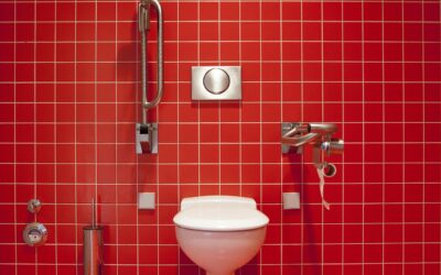 Essential Guide to Toilet Repair: Tips for Quick Fixes and Maintenance And When To Call A Professional