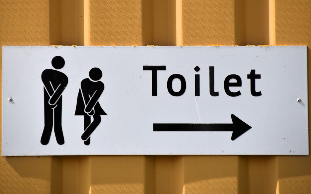 The Essential Guide on How to Replace a Toilet Successfully