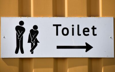 The Essential Guide on How to Replace a Toilet Successfully