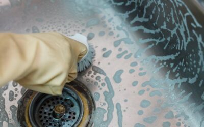Drain Worms: What They Are and How to Get Rid of Them