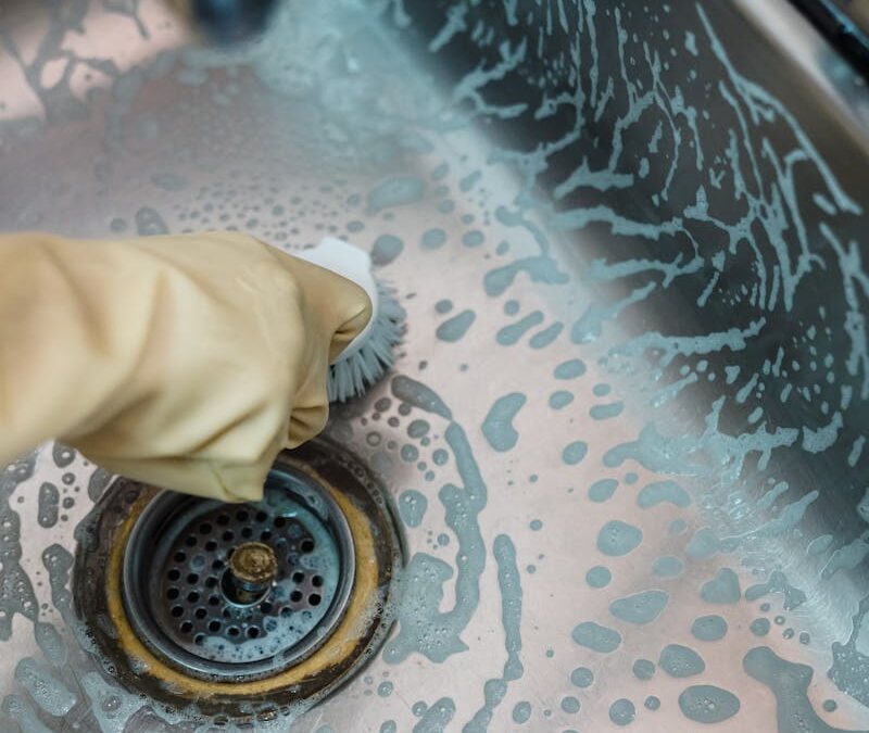 Drain Worms: What They Are and How to Get Rid of Them