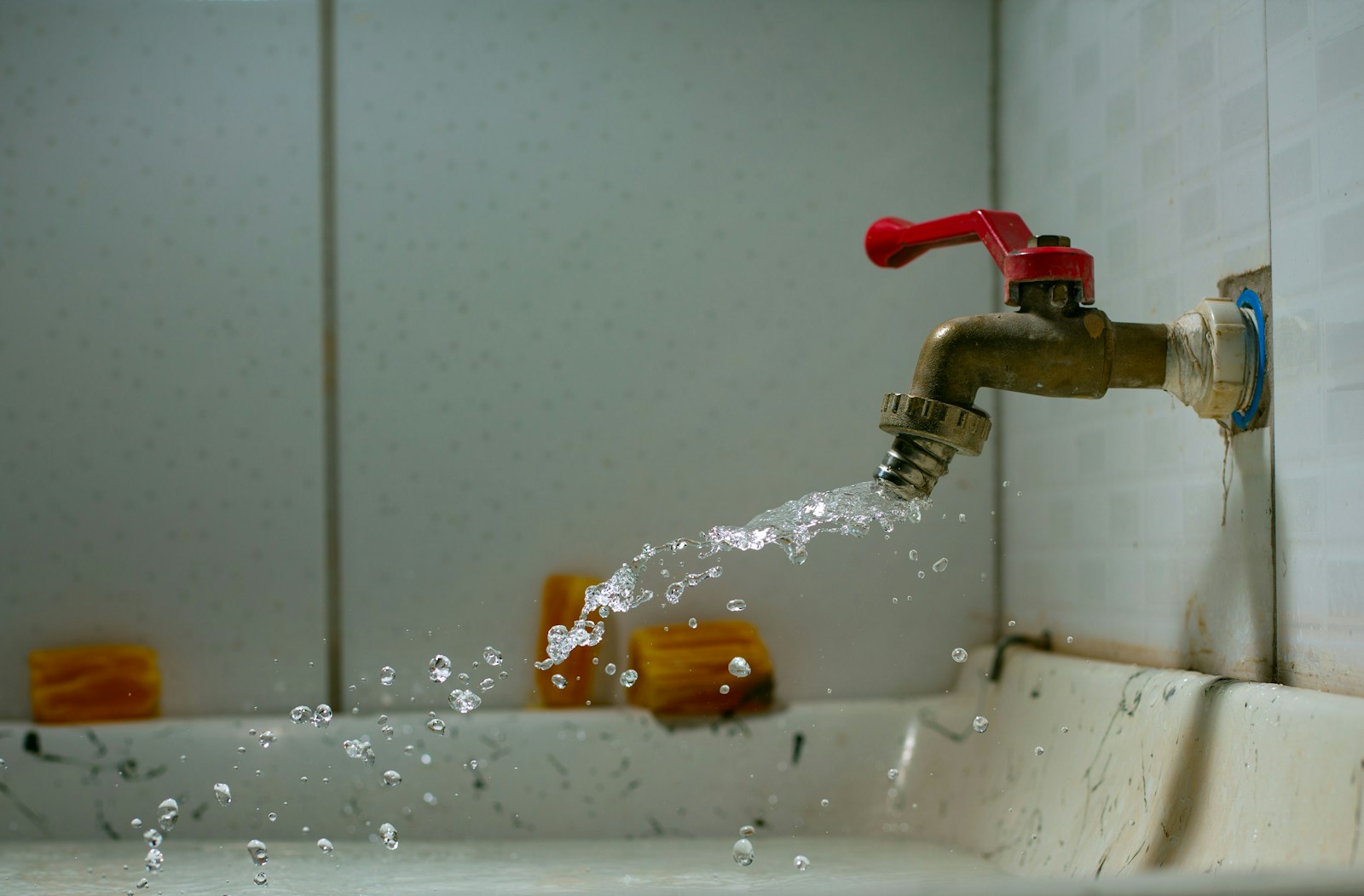 plumbing inspection