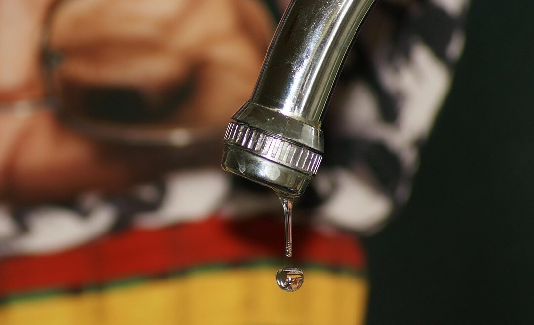 The Importance of Plumbing Leak Detection For Your Maryland Home