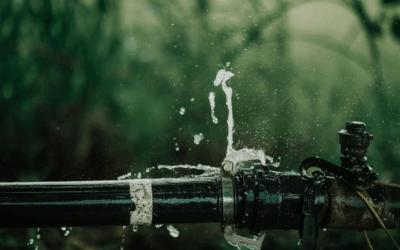 Plumbing Repair in Pasadena & Annapolis: Emergency Help for Fall & Winter Breakdowns