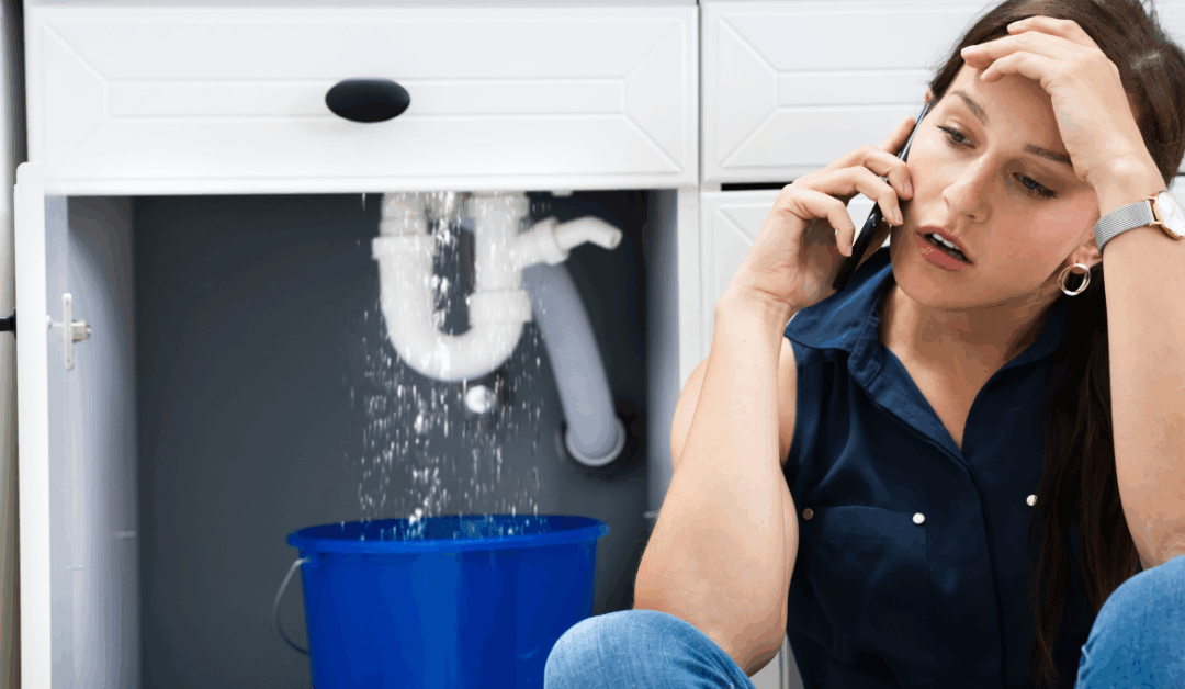 Plumber in Arnold Maryland: Affordable, Professional Service for Every Home