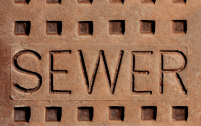Sewer Repair in Pasadena, MD: What to Do When Problems Start Underground