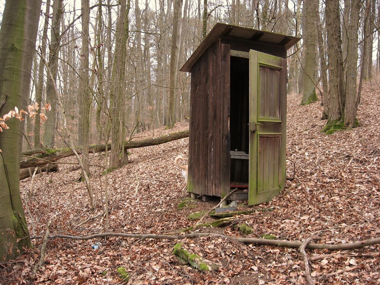 toilet, loo, public toilet, old toilet, wood, woman, man, forest, cabin, outhouse, dry toilet, composting toilets, septic tank, klo cottage, klohäusl, wc, plumpsklosett, historical, historical toilet, outhouse, outhouse, outhouse, outhouse, outhouse, septic tank