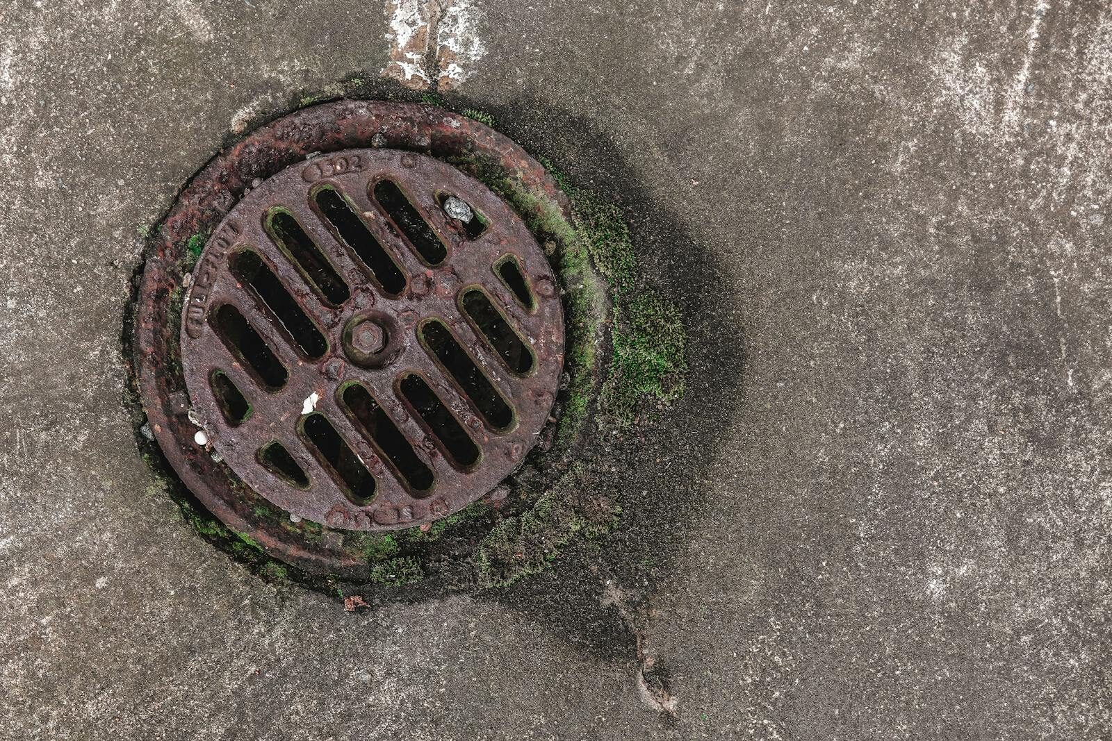 Close-up photo of a rusty drain grate with moss, offering a textured urban look.