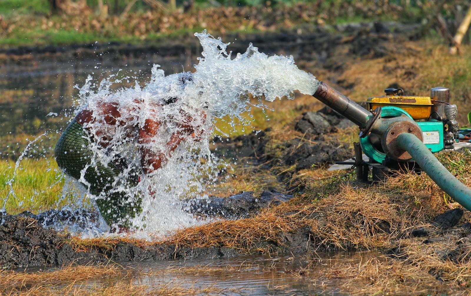 Photo by Utpal Adhikary Man enjoying refreshing water splash from pump in rice paddy field.