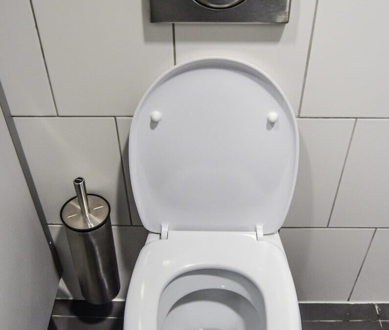 The Importance Of Proper Toilet Installation for Homeowners