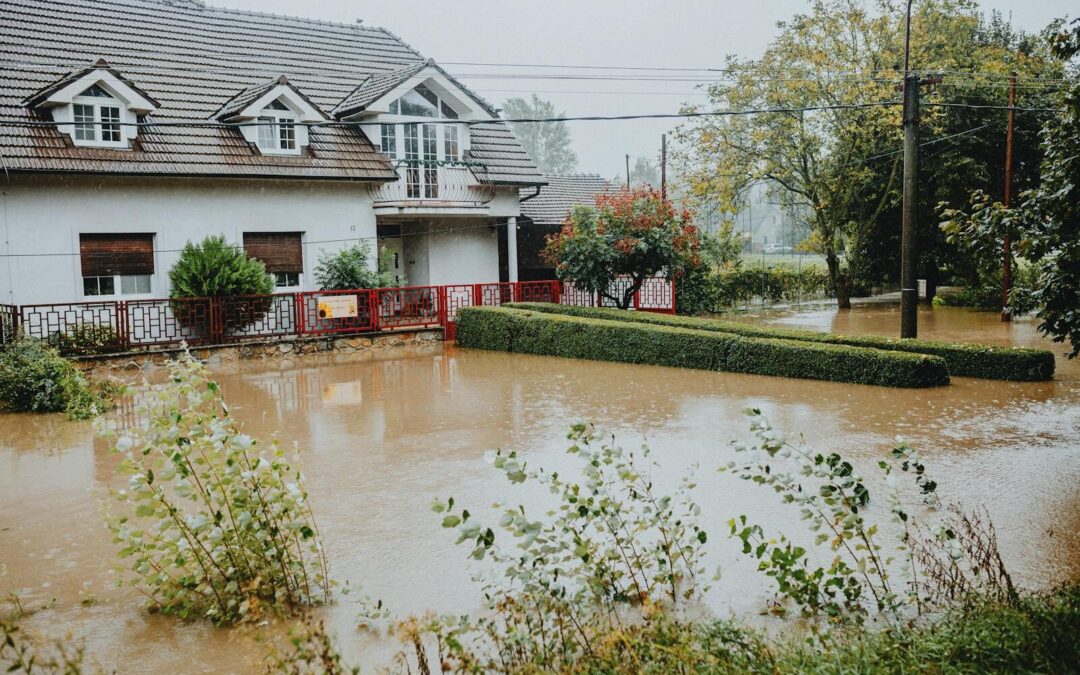 What Causes A Flooded Basement And How Do You Fix It?