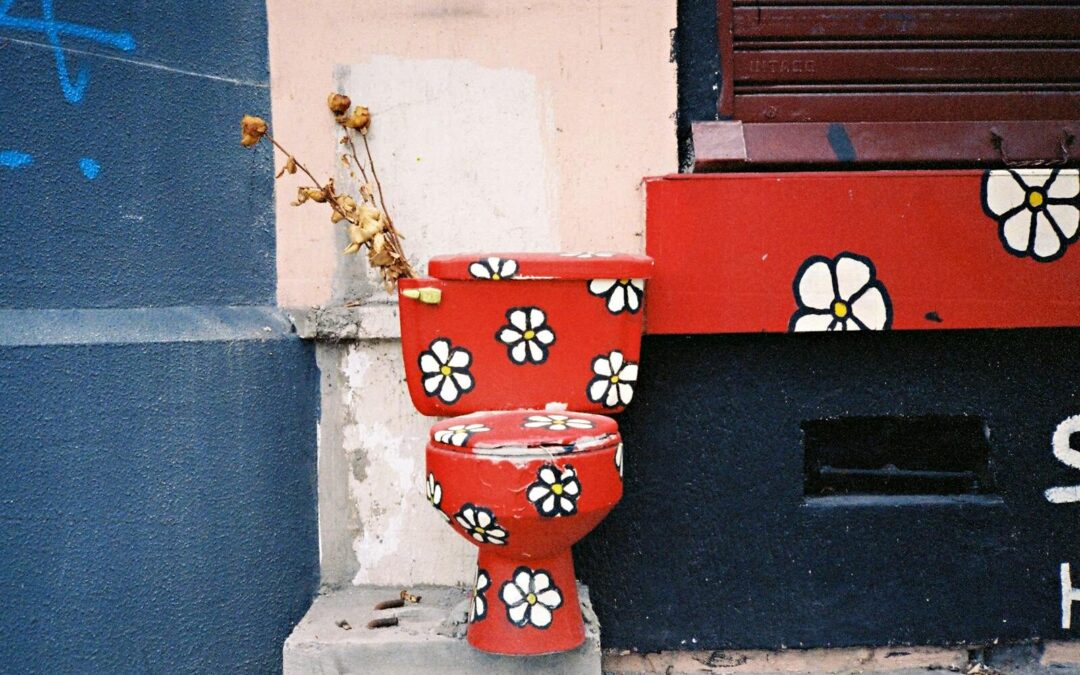 Toilet Installation 101: Costs, Tips, and Step-by-Step Guide