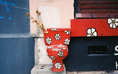 Toilet Installation 101: Costs, Tips, and Step-by-Step Guide