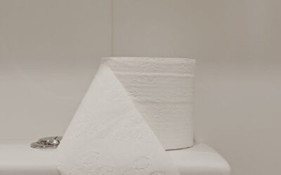 How to Unclog a Toilet: A Step-by-Step DIY (or PRO) Guide