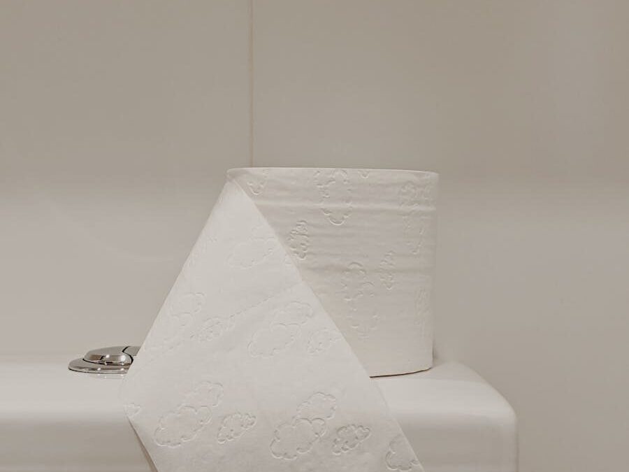 How to Plunge a Toilet Like a Pro: Essential Tips for Quick and Easy Clog Solutions