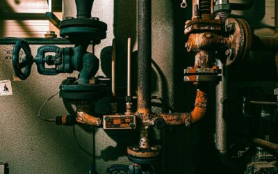 How Septic Tanks Work: What Every Homeowner Should Know