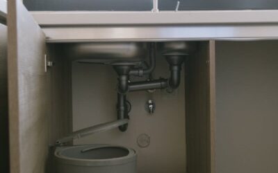 Fresh and Clean Kitchen Secrets: How to Clean A Garbage Disposal