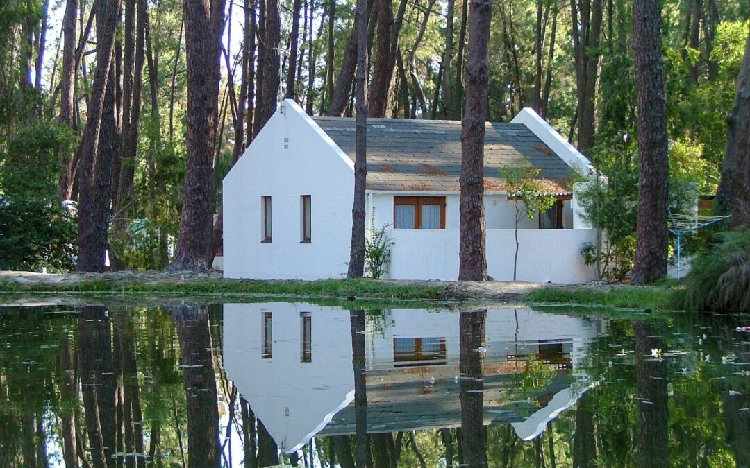 Top Tips for Preventing Basement Flooding and Protecting Your Home