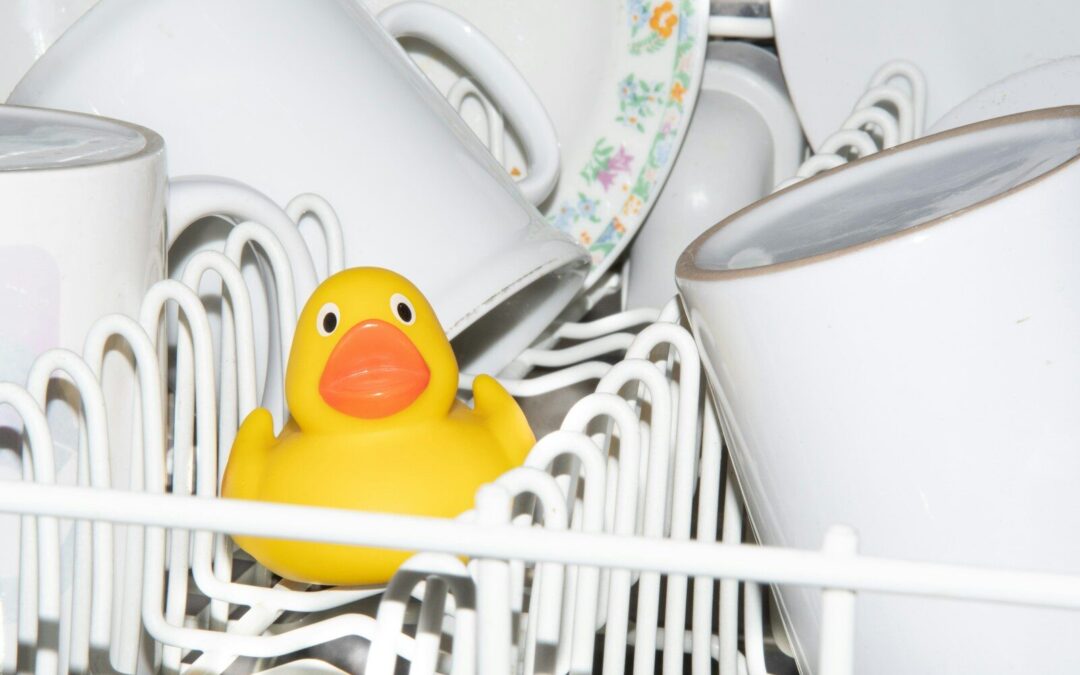 Why Is My Dishwasher Not Draining?