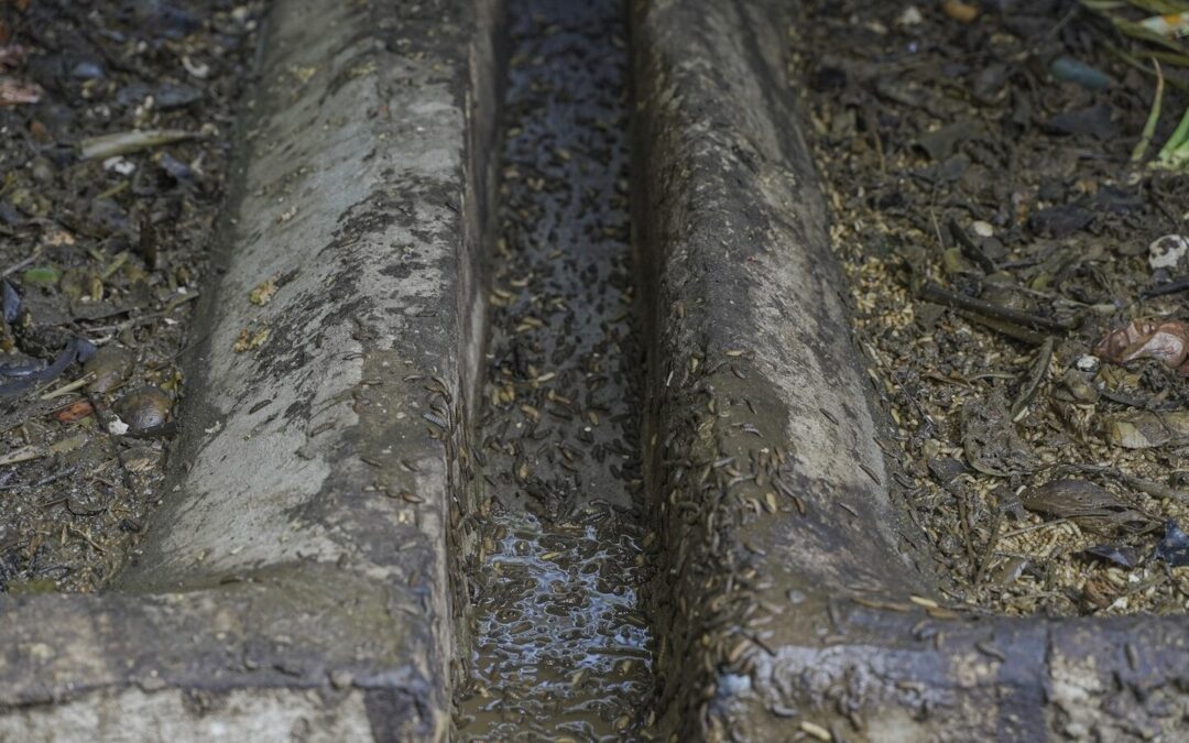 Emergency Plumbing Services for Homeowners and Property Managers