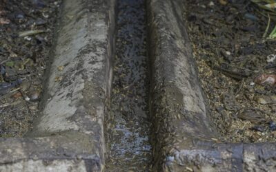 Does Homeowners Insurance Cover Plumbing Issues? Here’s What You Need to Know