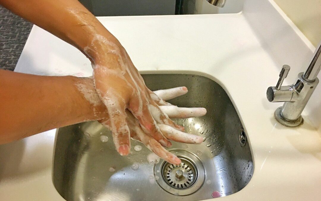 How to Clean Garbage Disposal and Drains To Keep It Smelling Fresh