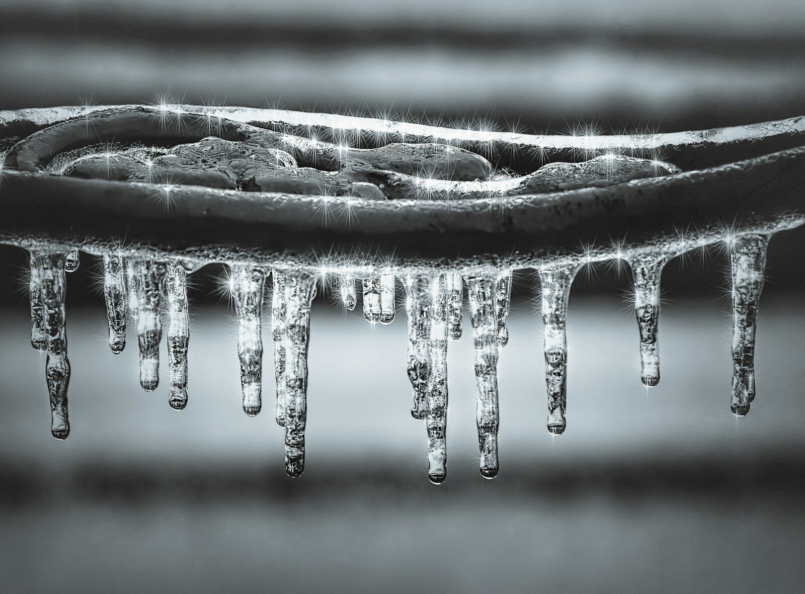 Photo by Robert Zunikoff grayscale photography of water drops ice