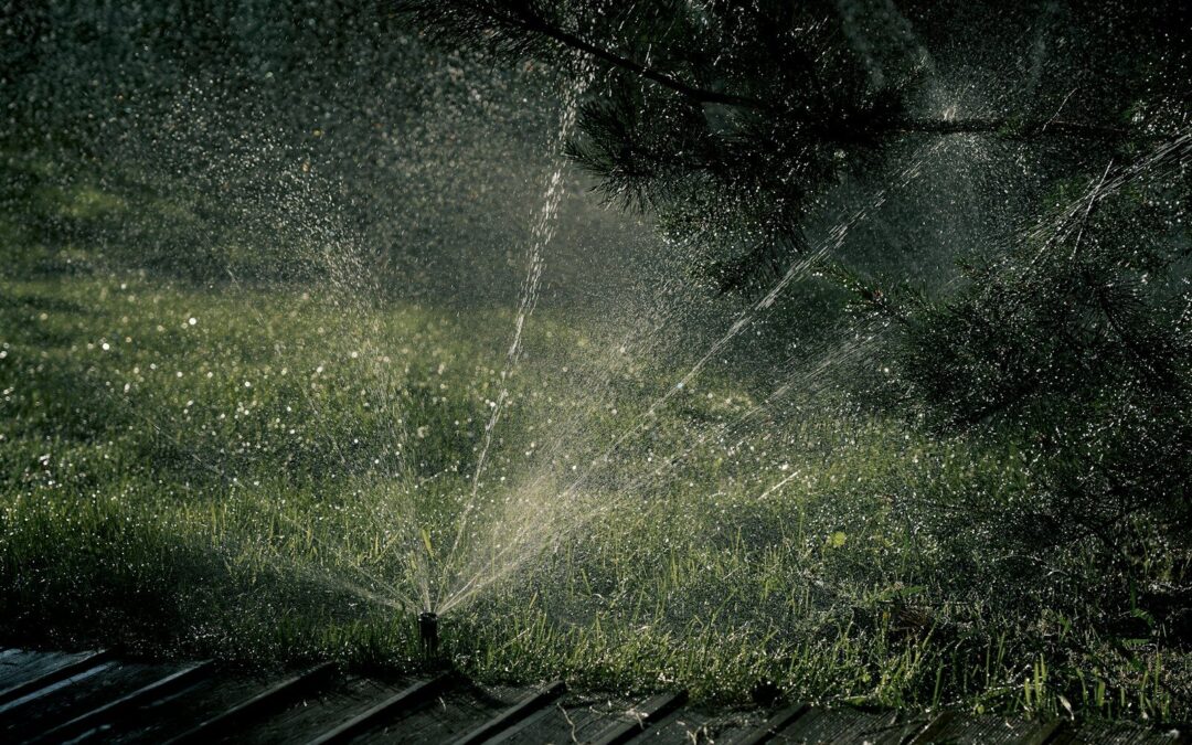 Mastering Your Sprinkler System: Tips for Efficiency and Savings
