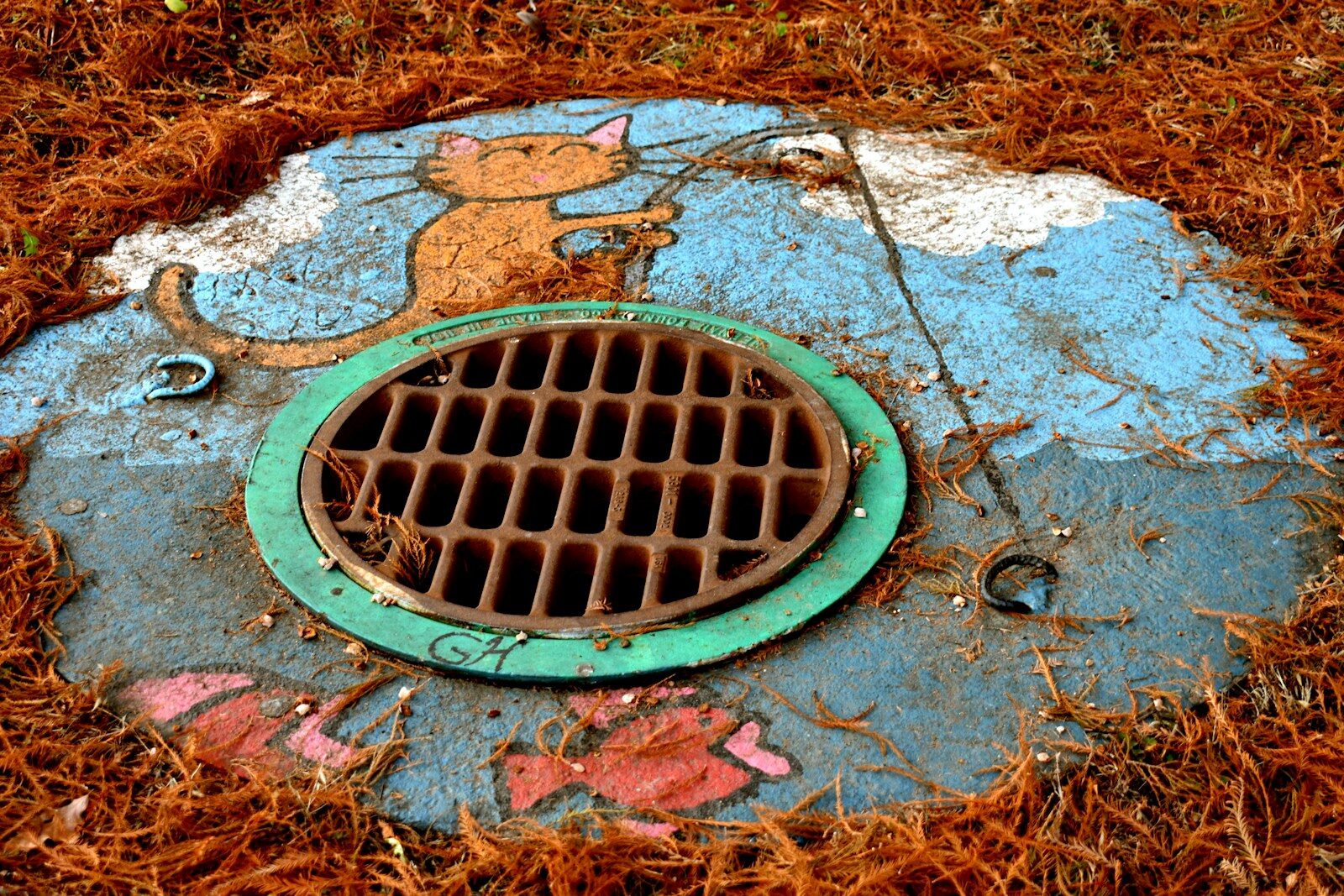 Photo by Michael Trimble round brown and green manhole
