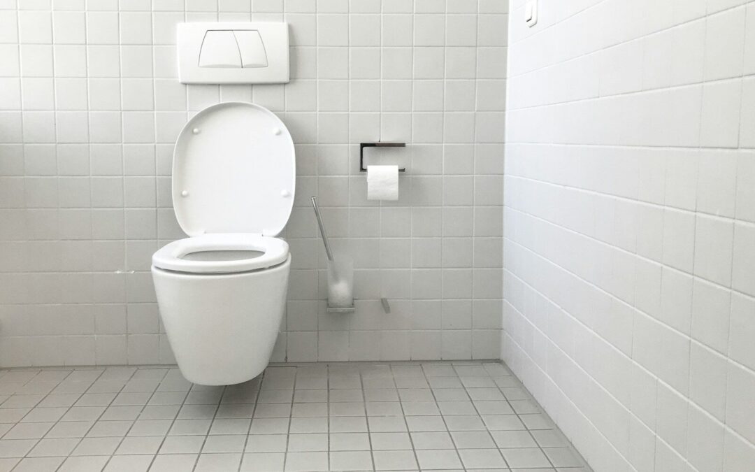 The Essential Homeowner’s Guide to Toilet Repair