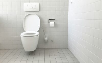 The Essential Homeowner’s Guide to Toilet Repair