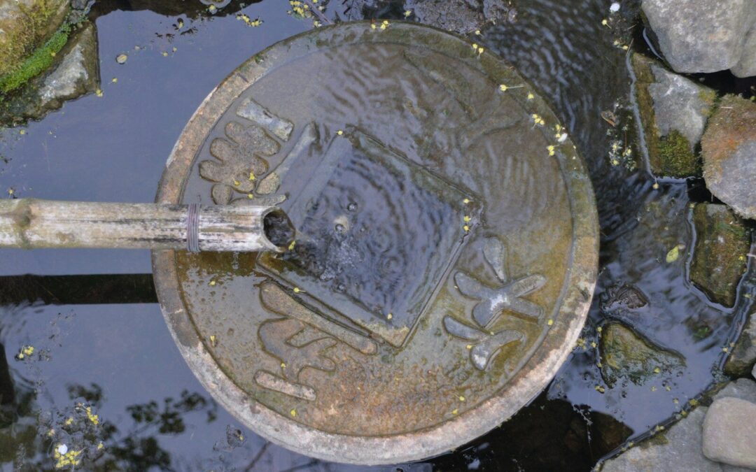 The Importance of Septic Tank Repair, and How To Know When Yours Needs Repair Or Replacement