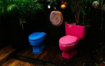 How to Install a Toilet and When to Call a Plumber
