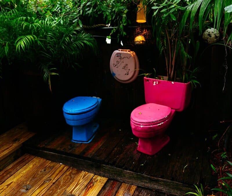 How to Install a Toilet and When to Call a Plumber