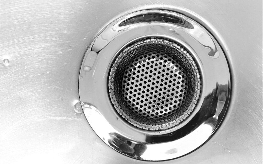 What Are Drain Worms and How Do You Get Rid of Them?