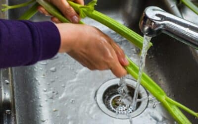 Experience Top-Quality Drain Cleaning with MD Sewer and Plumbing: Serving All Your Maryland Plumbing Requirements
