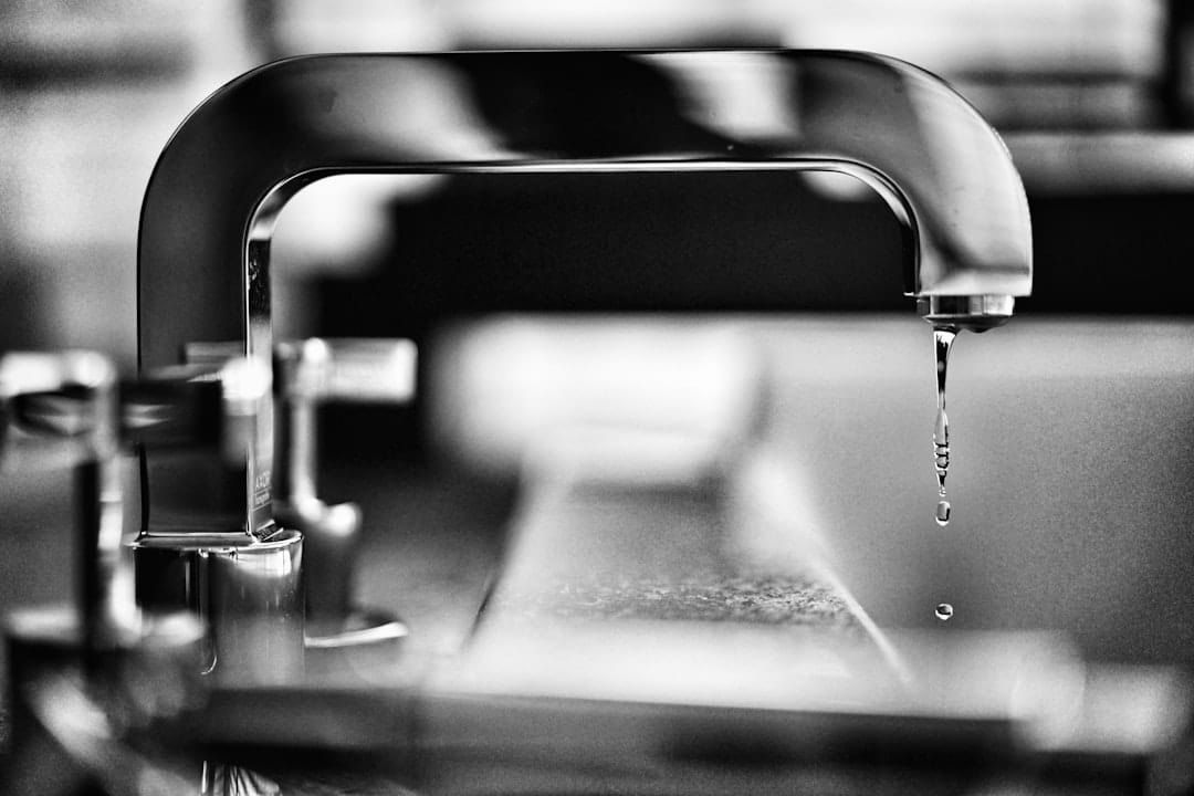 Leak Detection and Plumbing Repair to Prevent Water Damage